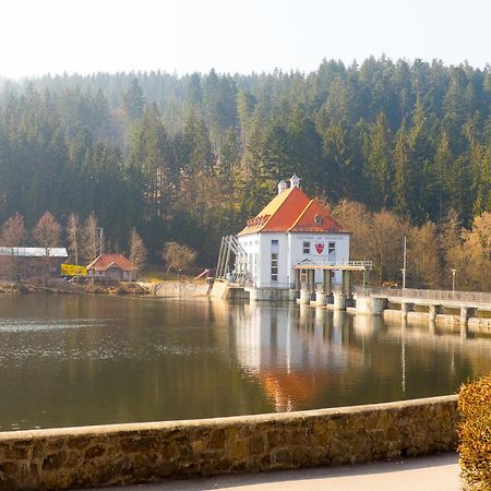Ferienhaus Nr 15, Typ A, Feriendorf Jaegerpark, Bayerischer Wald Viechtach Exterior foto